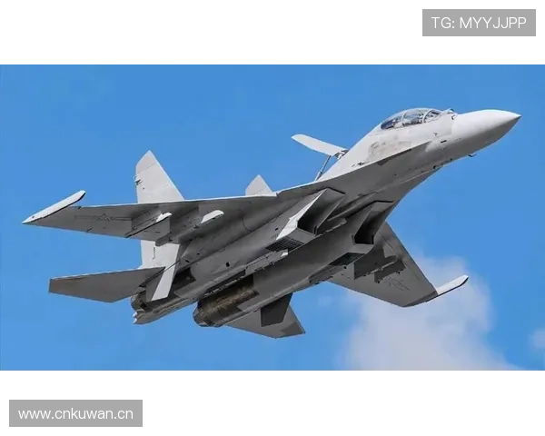 琼阿梅尼关键战表现稳定性分析