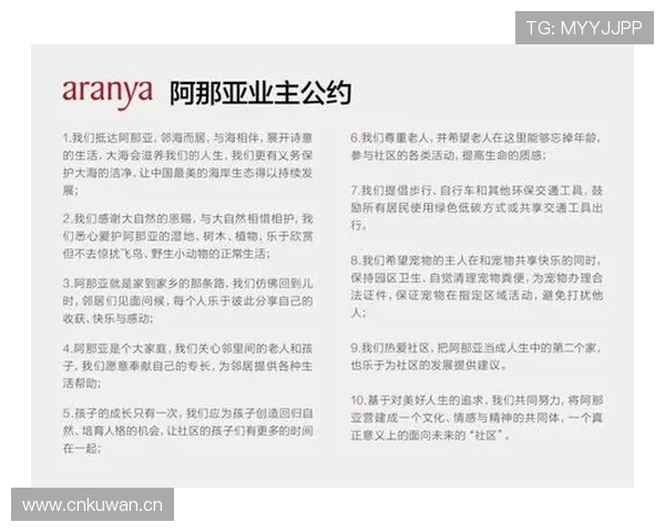 深度剖析三秒规则国际差异背后的判罚逻辑与具体适用标准